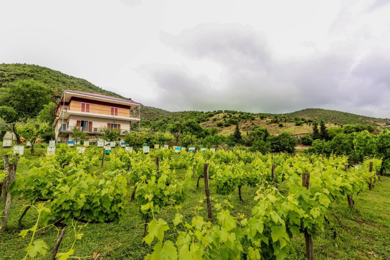 Country Home Genesi 20 Min From Trikala Luaran gambar