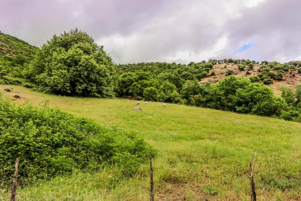 Country Home Genesi 20 Min From Trikala Luaran gambar