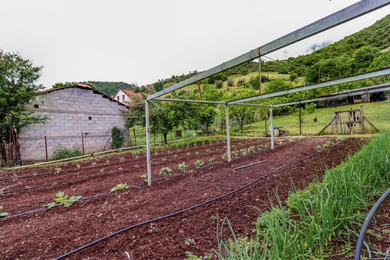 Country Home Genesi 20 Min From Trikala Luaran gambar