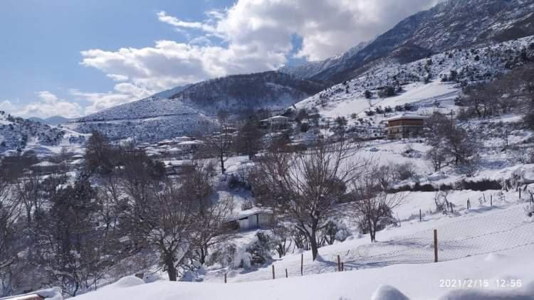 Country Home Genesi 20 Min From Trikala Luaran gambar