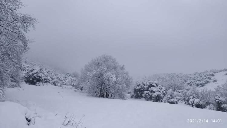 Country Home Genesi 20 Min From Trikala Luaran gambar