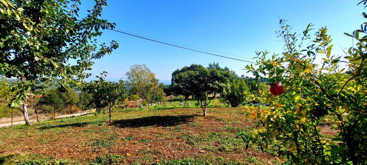 Country Home Genesi 20 Min From Trikala Luaran gambar
