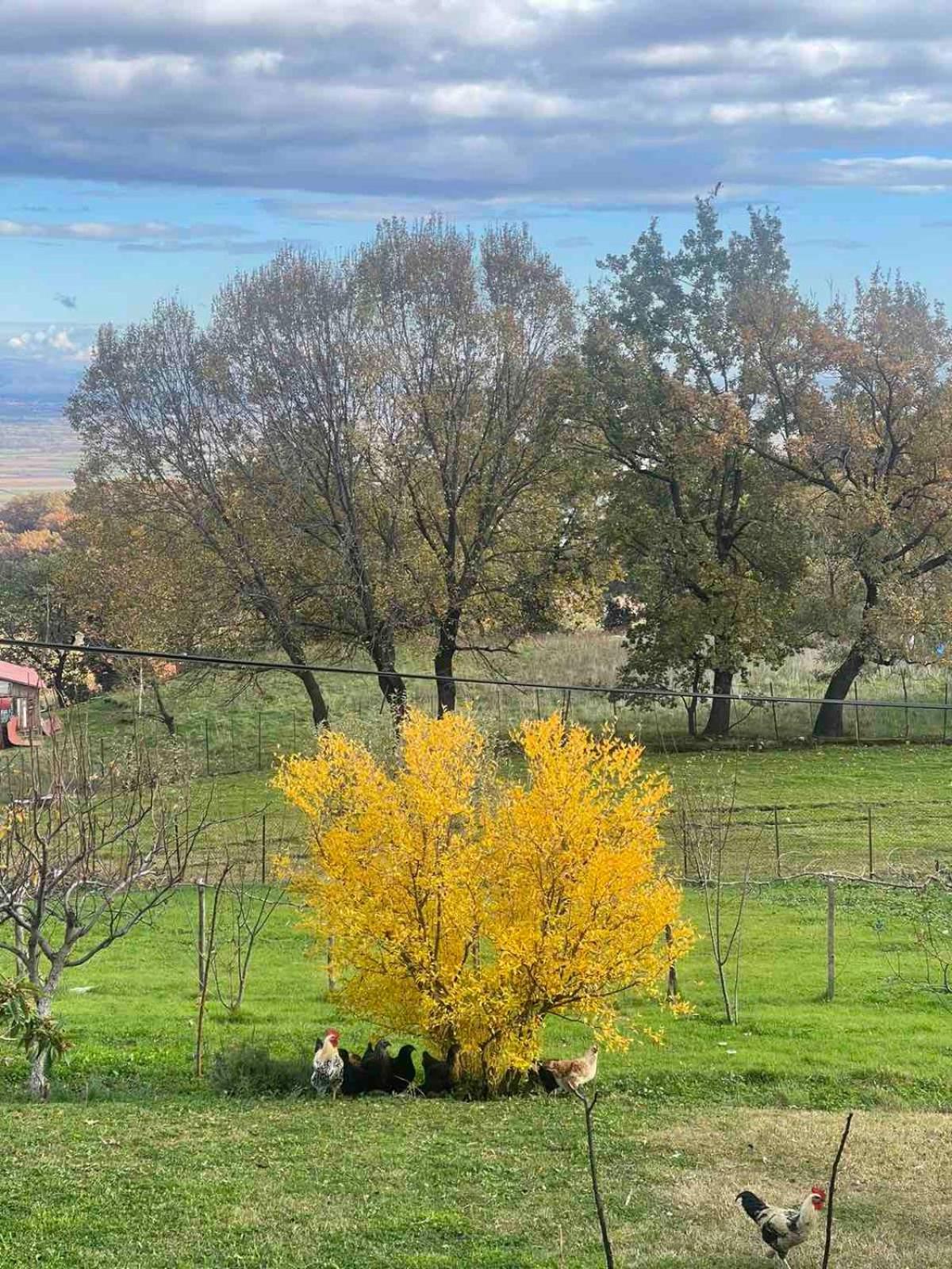 Country Home Genesi 20 Min From Trikala Luaran gambar