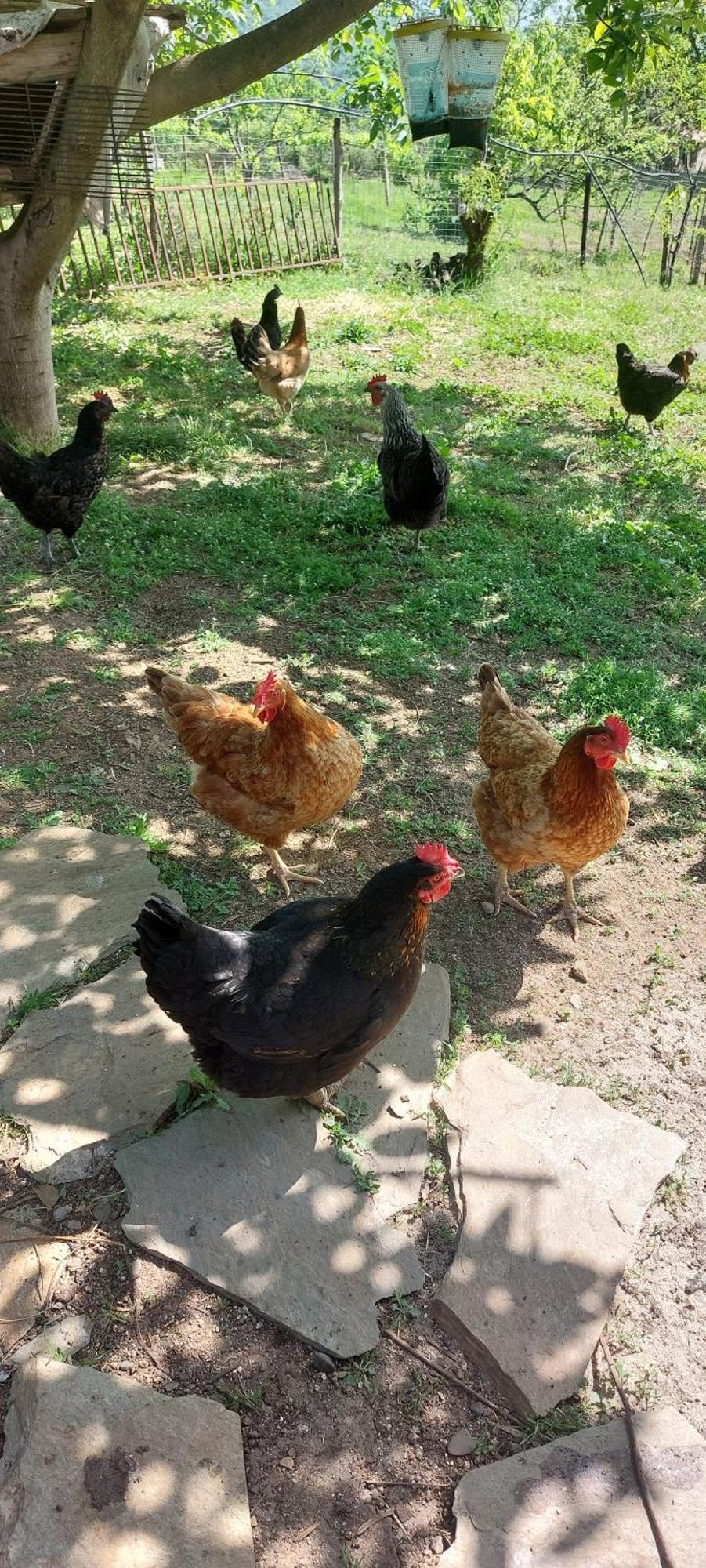 Country Home Genesi 20 Min From Trikala Luaran gambar