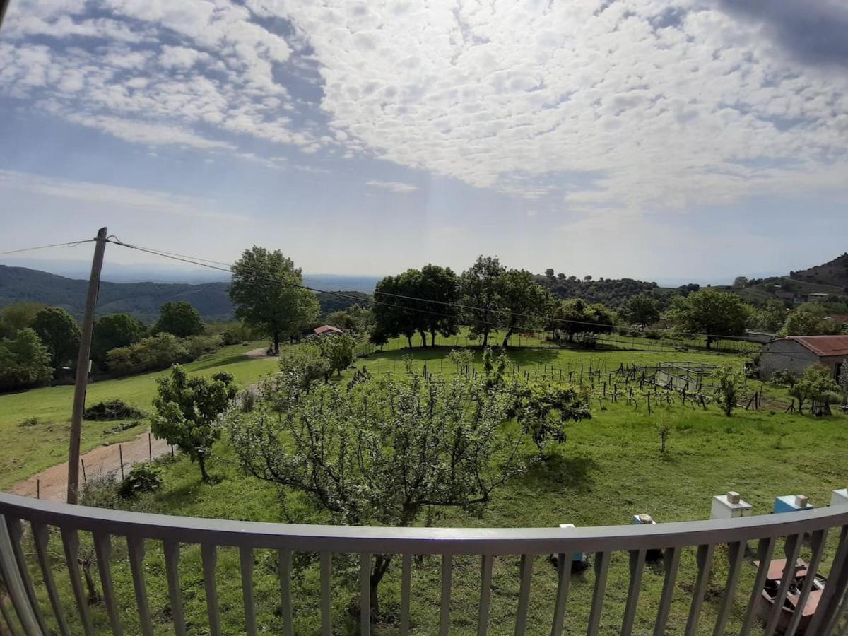 Country Home Genesi 20 Min From Trikala Luaran gambar