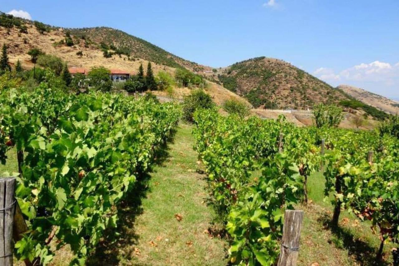 Country Home Genesi 20 Min From Trikala Luaran gambar