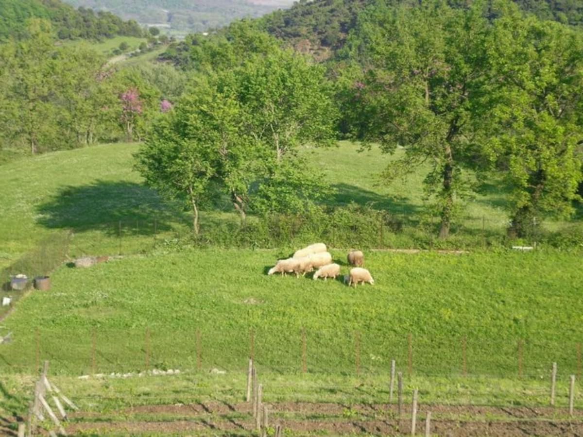 Country Home Genesi 20 Min From Trikala Luaran gambar
