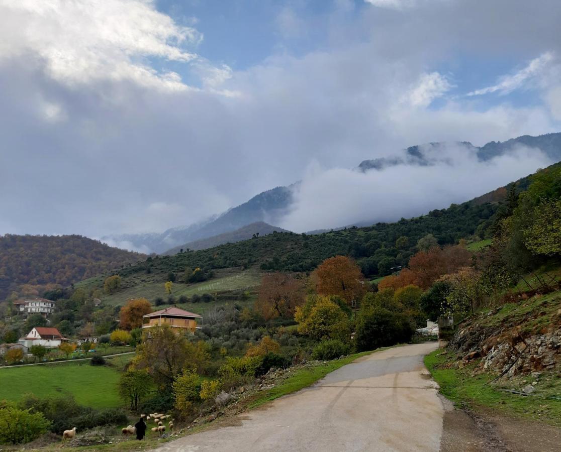 Country Home Genesi 20 Min From Trikala Luaran gambar
